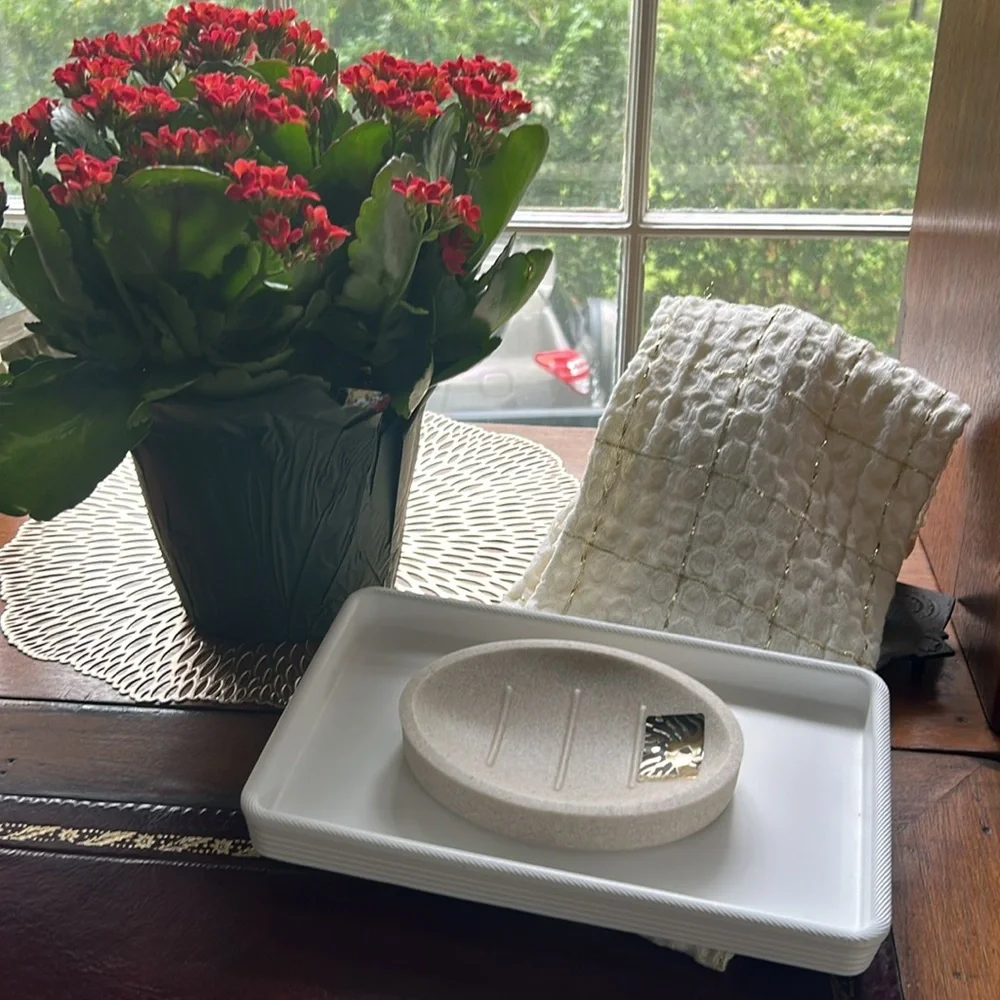 Anne Klein Textured Beige White Soap Dish NEW